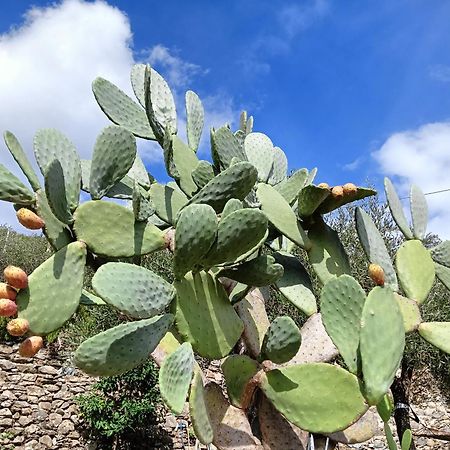 Le Drupe Βίλα Chiavari Εξωτερικό φωτογραφία
