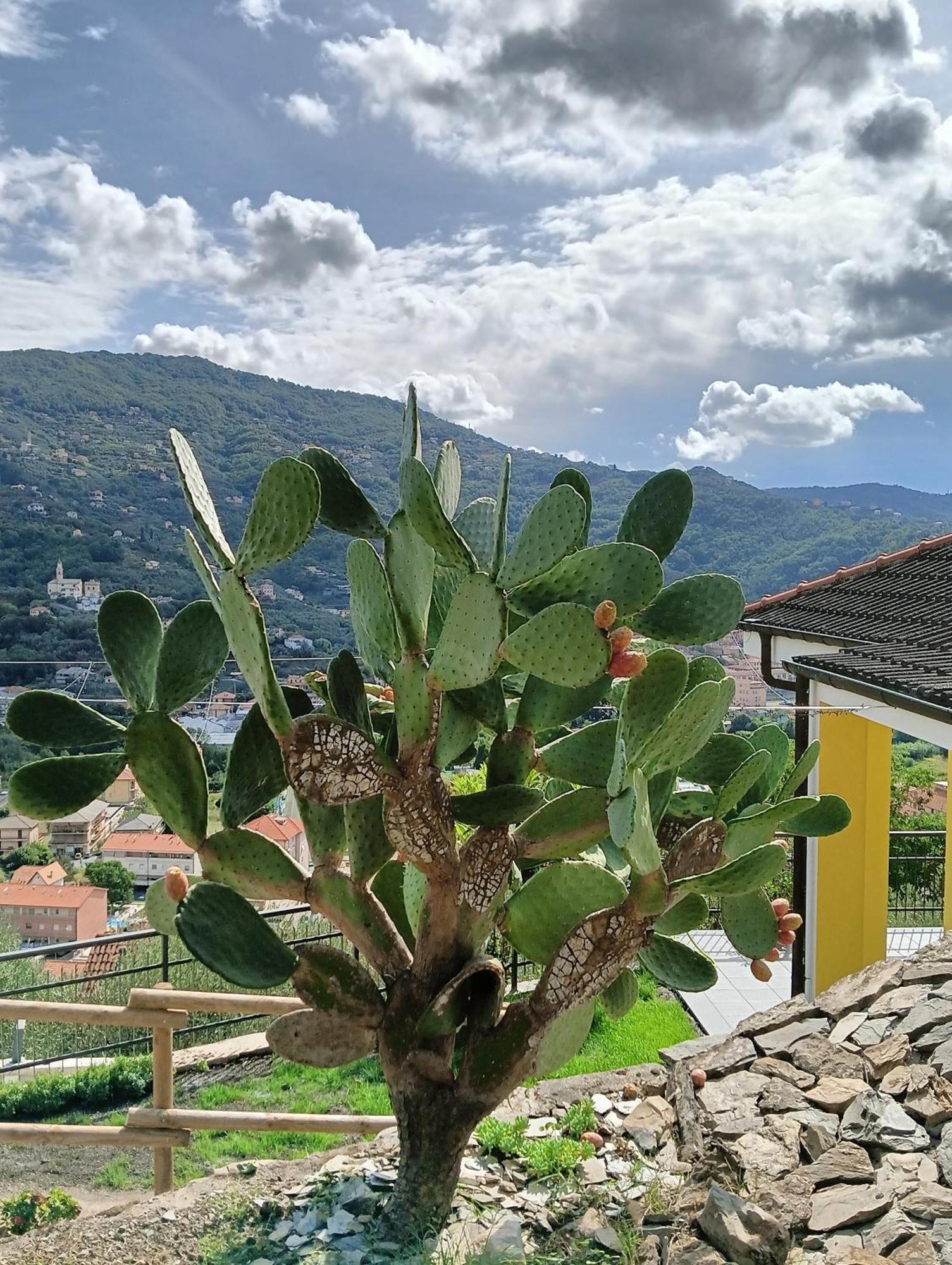 Le Drupe Βίλα Chiavari Εξωτερικό φωτογραφία